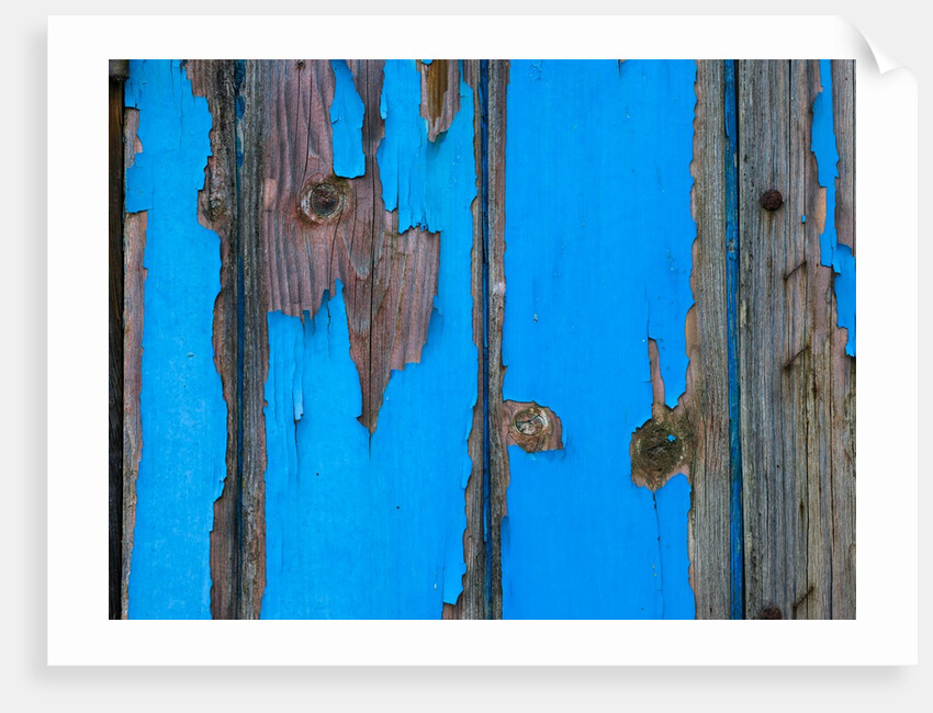 Paint on old door surface by Assaf Frank